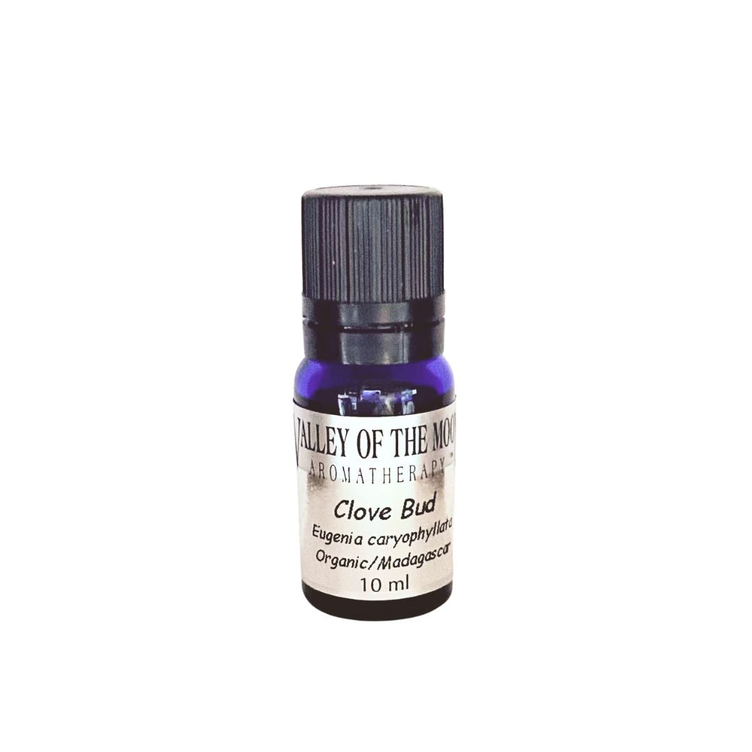 Small bottle of Valley of the Moon Aromatherapy Clove Bud essential oil on a white background