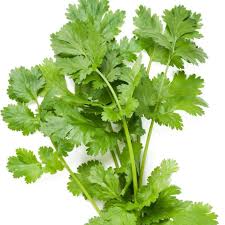 Coriander Essential Oil - Warming & Revitalizing