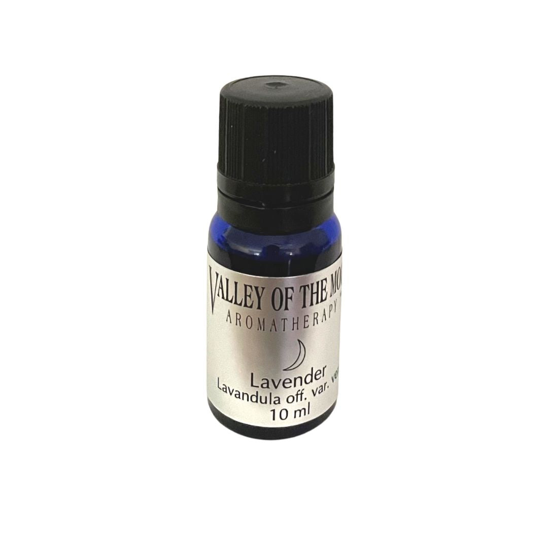 Valley of the Moon Memory Bundle  Study-Inspired Essential Oil Set